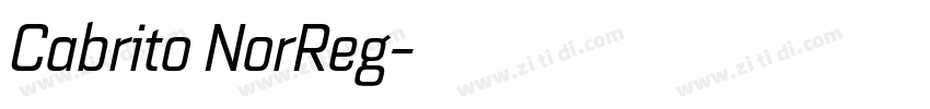 Cabrito NorReg字体转换